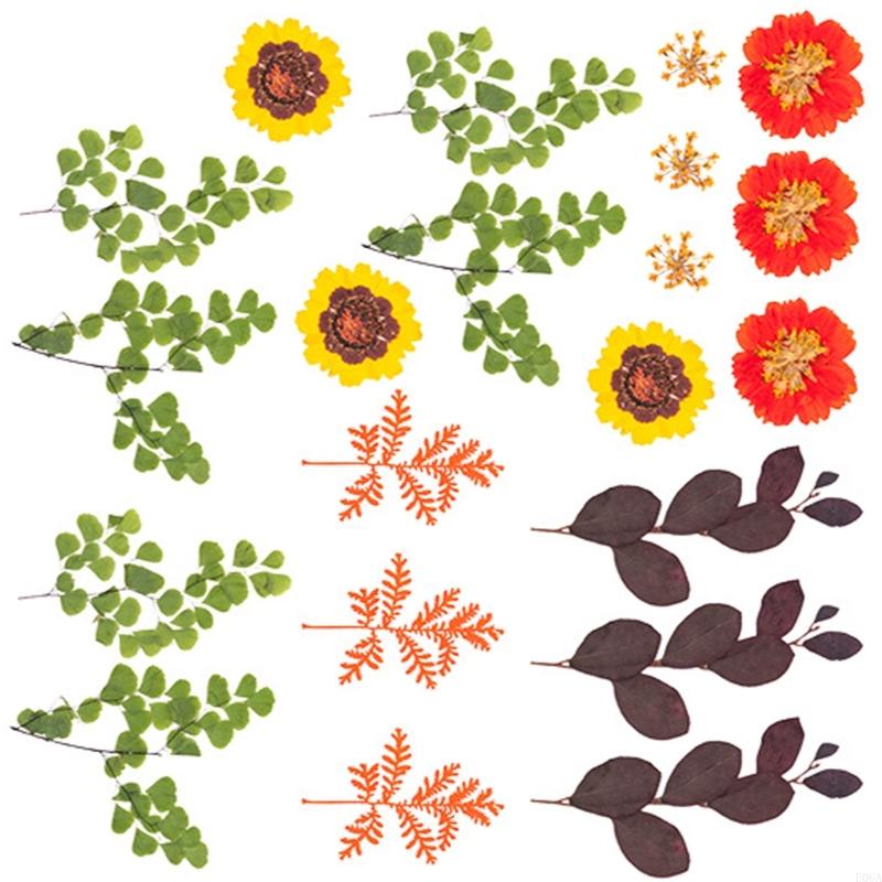 Natural Pressed Dried Flower F - Resin Craft Ideas recension och pris