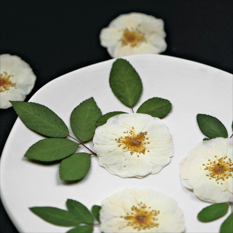 6pcs,9pcs,Nature White Rose Pr - Resin Craft Ideas recension och pris