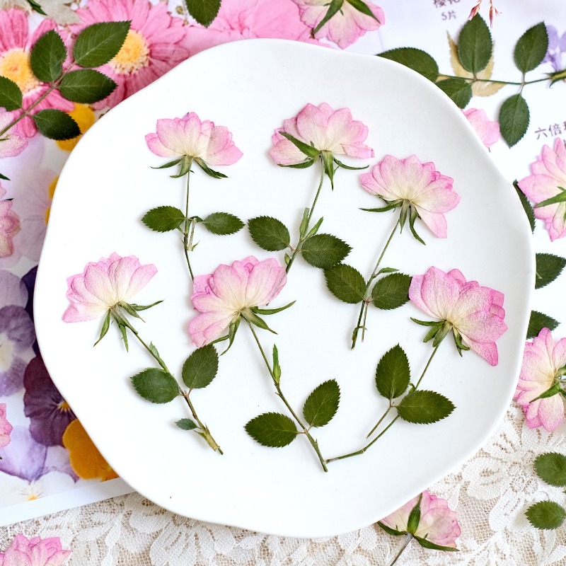12pcs,Real Dried Pressed Flowe - Resin Craft Ideas recension och pris